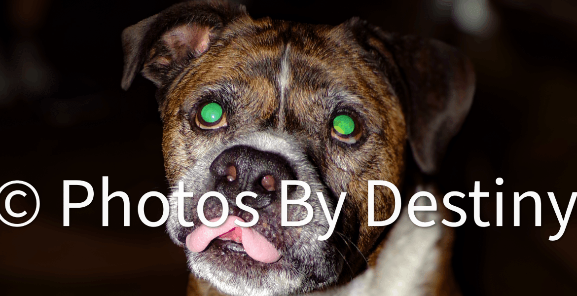 Photos By Destiny