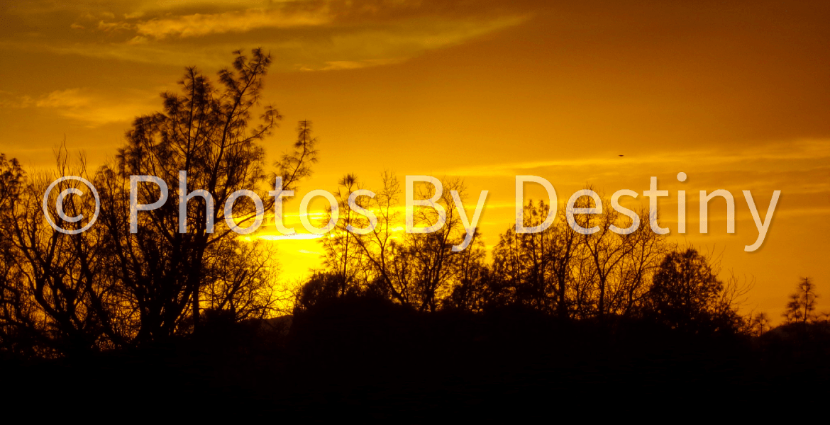Photos By Destiny